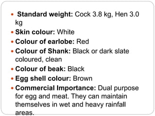  Standard weight: Cock 3.8 kg, Hen 3.0
kg
 Skin colour: White
 Colour of earlobe: Red
 Colour of Shank: Black or dark slate
coloured, clean
 Colour of beak: Black
 Egg shell colour: Brown
 Commercial Importance: Dual purpose
for egg and meat. They can maintain
themselves in wet and heavy rainfall
areas.
 