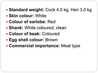 Standard weight: Cock 4.0 kg, Hen 3.0 kg
 Skin colour: White
 Colour of earlobe: Red
 Shank: White coloured, clean
 Colour of beak: Coloured
 Egg shell colour: Brown
 Commercial importance: Meat type
 