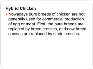Hybrid Chicken
 Nowadays pure breeds of chicken are not
generally used for commercial production
of egg or meat. First, the pure breeds are
replaced by breed crosses, and now breed
crosses are replaced by strain crosses.
 