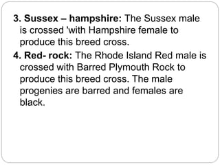 3. Sussex – hampshire: The Sussex male
is crossed 'with Hampshire female to
produce this breed cross.
4. Red- rock: The Rhode Island Red male is
crossed with Barred Plymouth Rock to
produce this breed cross. The male
progenies are barred and females are
black.
 