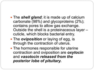  The shell gland; it is made up of calcium
carbonate (98%) and glycoproteins (2%);
contains pores to allow gas exchange.
Outside the shell is a proteinaceous layer –
cuticle, which blocks bacterial entry.
 The oviposition or laying of egg, is
through the contraction of uterus.
 The hormones responsible for uterine
contraction and oviposition are oxytocin
and vasotocin released from the
posterior lobe of pituitary.
 
