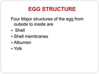EGG STRUCTURE
Four Major structures of the egg from
outside to inside are
 Shell
 Shell membranes
 Albumen
 Yolk
 