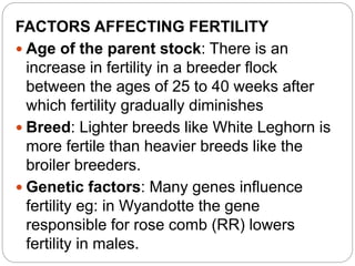 FACTORS AFFECTING FERTILITY
 Age of the parent stock: There is an
increase in fertility in a breeder flock
between the ages of 25 to 40 weeks after
which fertility gradually diminishes
 Breed: Lighter breeds like White Leghorn is
more fertile than heavier breeds like the
broiler breeders.
 Genetic factors: Many genes influence
fertility eg: in Wyandotte the gene
responsible for rose comb (RR) lowers
fertility in males.
 