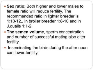  Sex ratio: Both higher and lower males to
female ratio will reduce fertility. The
recommended ratio in lighter breeder is
1:10-12,. In broiler breeder 1:8-10 and in
J.quails 1:1-2
 The semen volume, sperm concentration
and number of successful mating also alter
fertility.
 Inseminating the birds during the after noon
can lower fertility.
 