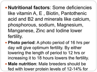  Nutritional factors: Some deficiencies
like vitamin A, E , Biotin, Pantothenic
acid and B2 and minerals like calcium,
phosphorous, sodium, Magnesium,
Manganese, Zinc and Iodine lower
fertility.
 Photo period: A photo period of 16 hrs per
day will give optimum fertility. By either
lowering the length of period to 12 hrs or
increasing it to 18 hours lowers the fertility.
 Male nutrition: Male breeders should be
fed with lower protein levels of 12-14% for
 