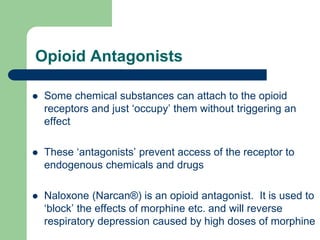 Opioid Antagonists
 Some chemical substances can attach to the opioid
receptors and just ‘occupy’ them without triggering an
effect
 These ‘antagonists’ prevent access of the receptor to
endogenous chemicals and drugs
 Naloxone (Narcan®) is an opioid antagonist. It is used to
‘block’ the effects of morphine etc. and will reverse
respiratory depression caused by high doses of morphine
 