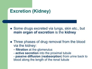 Excretion (Kidney)
 Some drugs excreted via lungs, skin etc., but
main organ of excretion is the kidney
 Three phases of drug removal from the blood
via the kidney:
- filtration at the glomerulus
- active secretion into the proximal tubule
- passive diffusion (reabsorption) from urine back to
blood along the length of the renal tubule
 