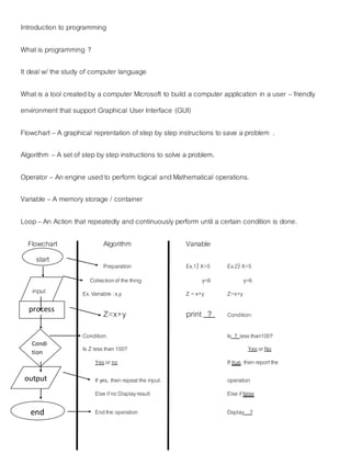 Introduction to programming | PDF