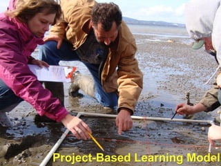 Project-Based Learning Model
 