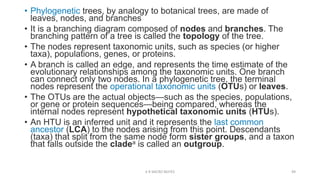 Protein Tree Branch Notes.pdf Introduction to prokaryotes Introduction to prokaryotes | PPTX