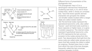 Visualization Endogram Introduction to prokaryotes Introduction to prokaryotes | PPTX