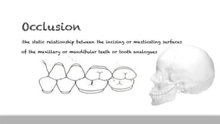 Occlusion
:the static relationship between the incising or masticating surfaces
of the maxillary or mandibular teeth or tooth analogues
 