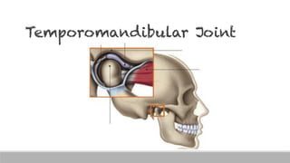 Temporomandibular Joint
 