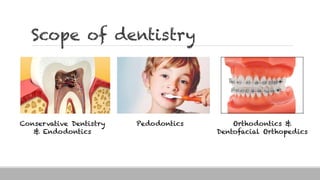 Scope of dentistry
Conservative Dentistry
& Endodontics
Pedodontics Orthodontics &
Dentofacial Orthopedics
 