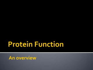 Protein Function
An overview
 