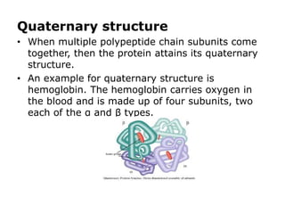 Introduction_to_proteins_and_amino_acids (1).pdf