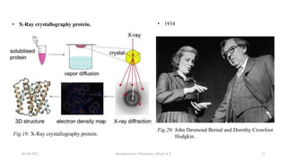 06-04-2022 Introduction to Proteomics_Shryli K S 12
Fig 19: X-Ray crystallography protein.
• X-Ray crystallography protein. • 1934
Fig 20: John Desmond Bernal and Dorothy Crowfoot
Hodgkin.
 