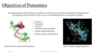 Objectives of Proteomics
06-04-2022 Introduction to Proteomics_Shryli K S 6
“A detailed proteomic study facilitates or enables the scientist to get a profound insight about the biological and
physiological status of the cell, which is not so vivid and detailed in the case of genomic studies”
• Protein–protein interactions
• Protein-ligand interactions
Fig 07: Protein–ligand interactions.
Fig 08: Protein–nucleic acid interactions.
• Protein nucleic acid interaction
• Structure
• Expression
• Function
 