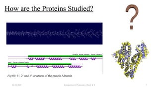 How are the Proteins Studied?
06-04-2022 Introduction to Proteomics_Shryli K S 7
Fig 09: 1°, 2° and 3° structures of the protein Albumin
 