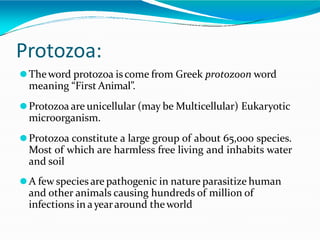 Protozoa:
⚫Theword protozoa iscome from Greek protozoon word
meaning “First Animal”.
⚫Protozoa are unicellular (may be Multicellular) Eukaryotic
microorganism.
⚫Protozoa constitute a large group of about 65,000 species.
Most of which are harmless free living and inhabits water
and soil
⚫A few species are pathogenic in nature parasitize human
and other animals causing hundreds of million of
infections in ayeararound theworld
 