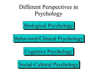 Different Perspectives in Psychology Biological Psychology Behavioral/Clinical Psychology Cognitive Psychology Social-Cultural Psychology 