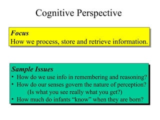 Cognitive Perspective Focus How we process, store and retrieve information. Sample Issues How do we use info in remembering and reasoning? How do our senses govern the nature of perception? (Is what you see really what you get?) How much do infants “know” when they are born?  