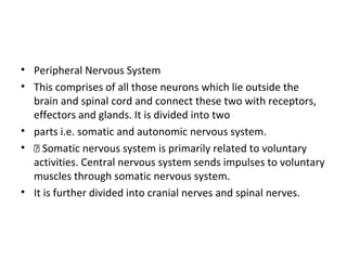 • Peripheral Nervous System
• This comprises of all those neurons which lie outside the
brain and spinal cord and connect ...