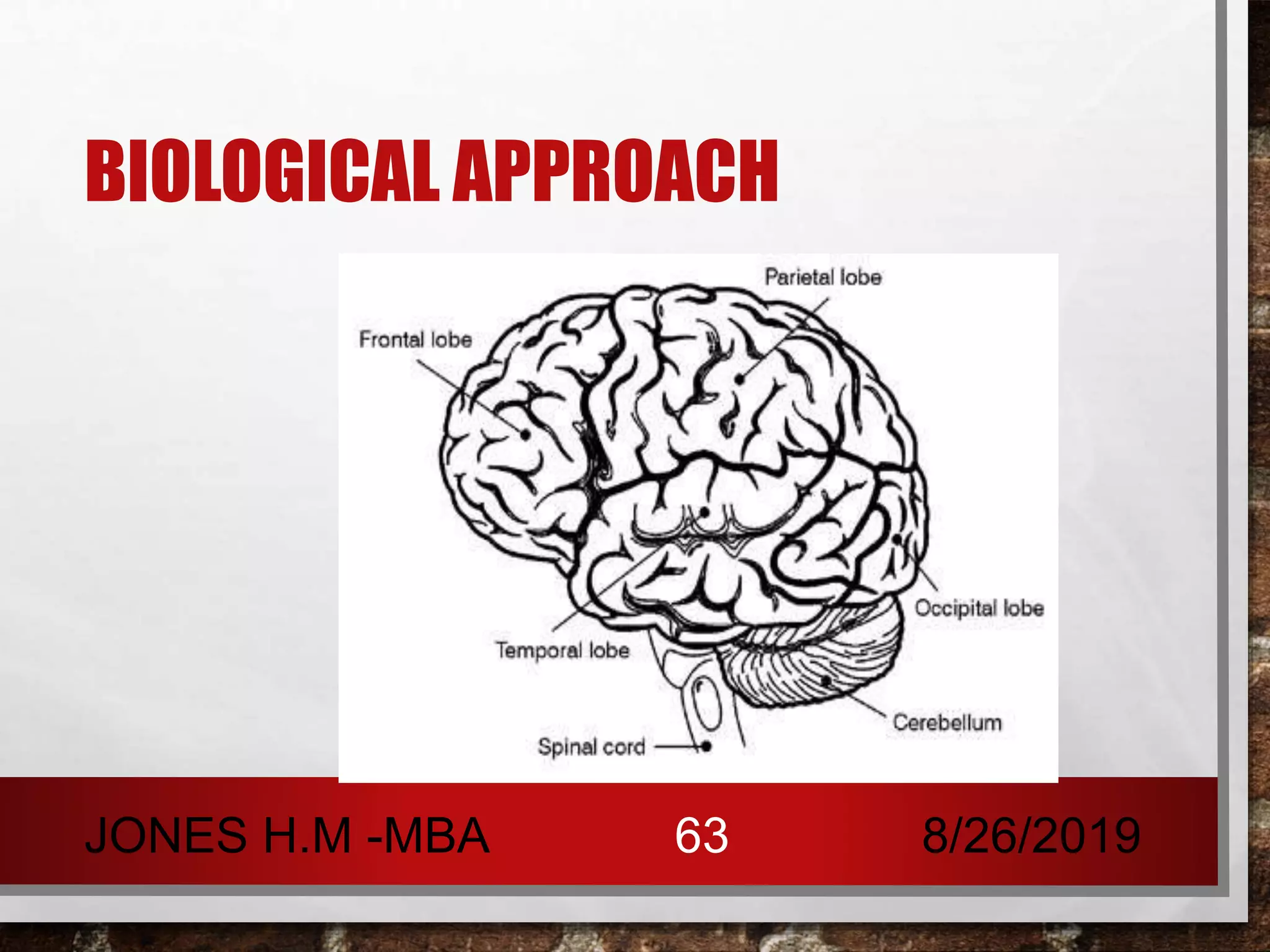 BIOLOGICAL APPROACH
8/26/2019JONES H.M -MBA 63
 
