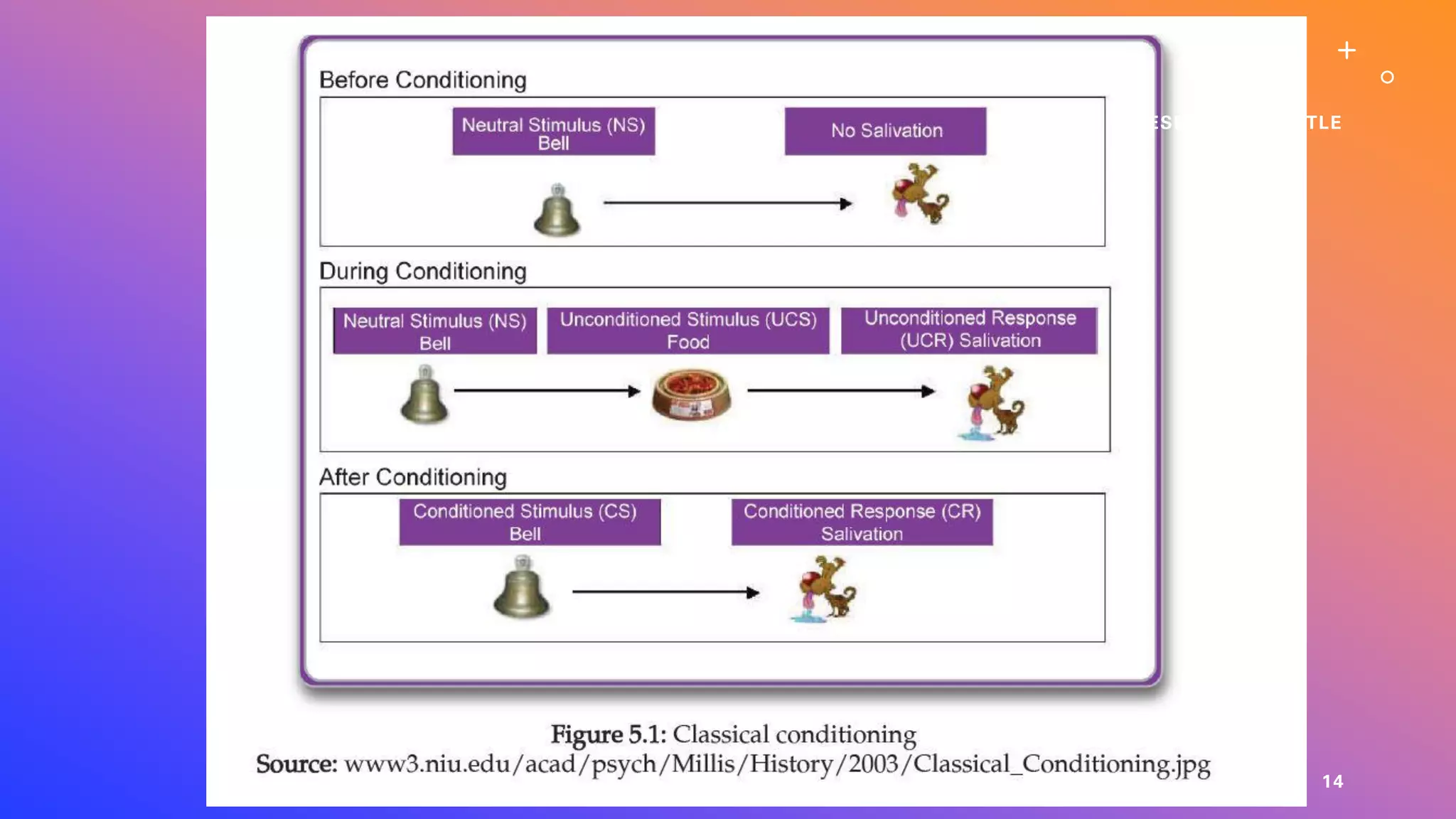 PRESENTATION TITLE
14
 
