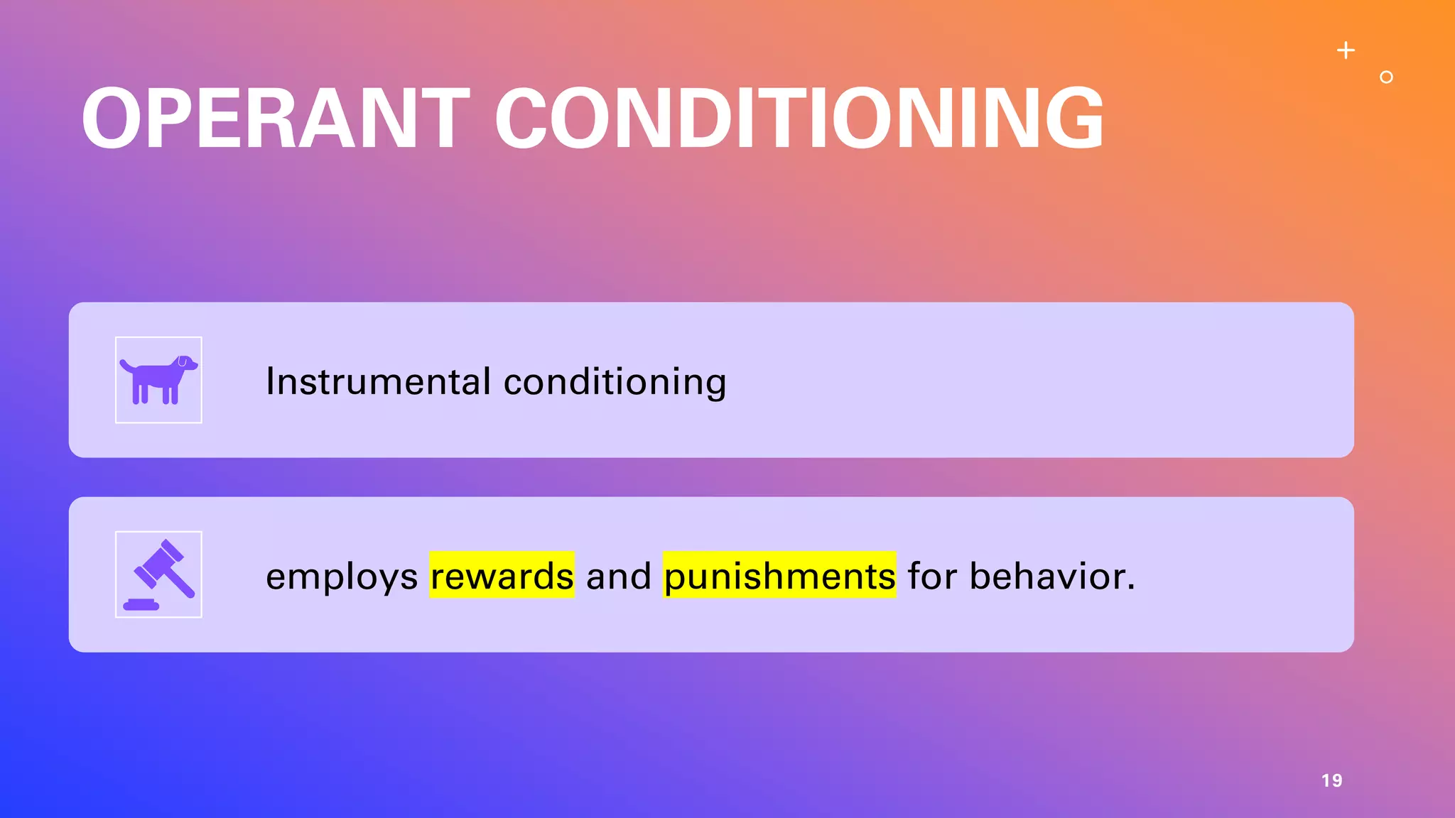 OPERANT CONDITIONING
Instrumental conditioning
employs rewards and punishments for behavior.
19
 