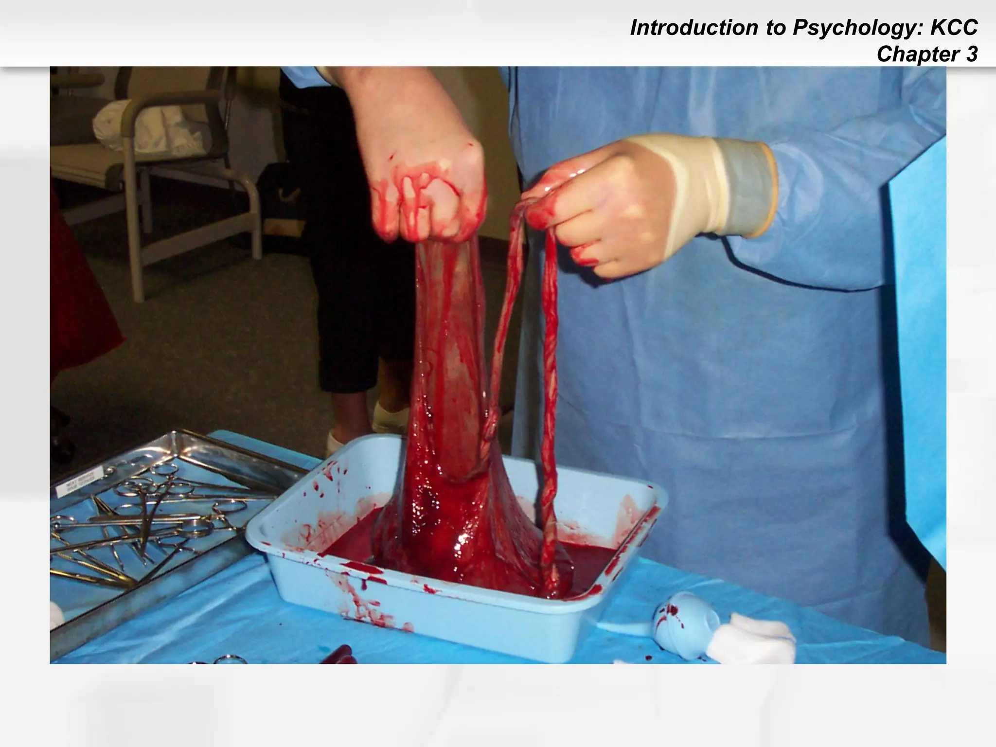 Introduction to Psychology: KCC
Chapter 3
 