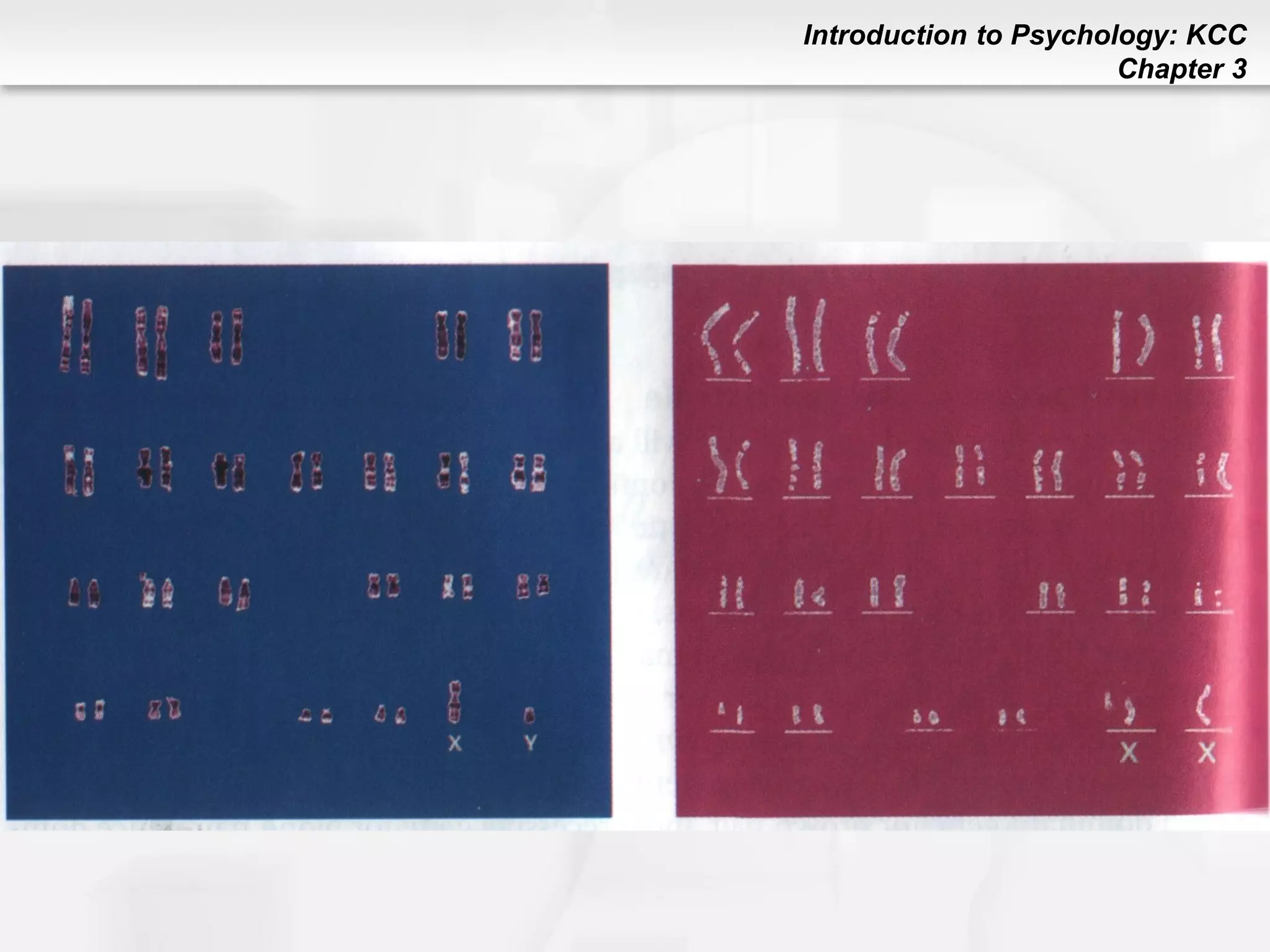 Introduction to Psychology: KCC
Chapter 3
 