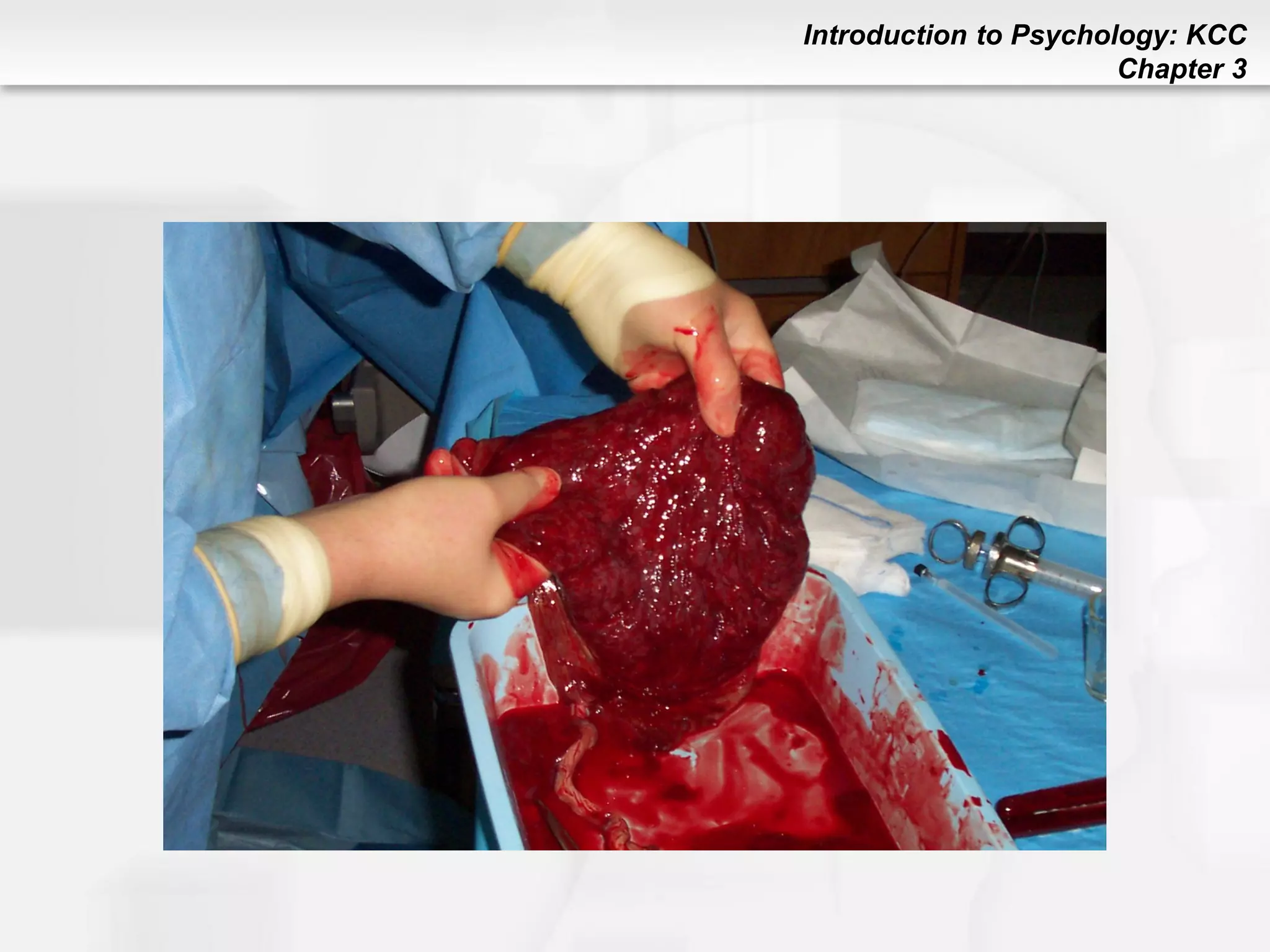 Introduction to Psychology: KCC
Chapter 3
 
