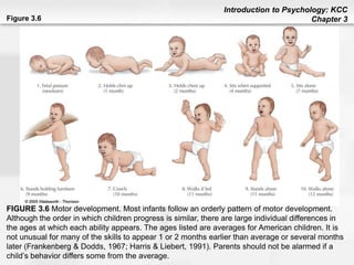 Introduction to psychology Human Development | PDF