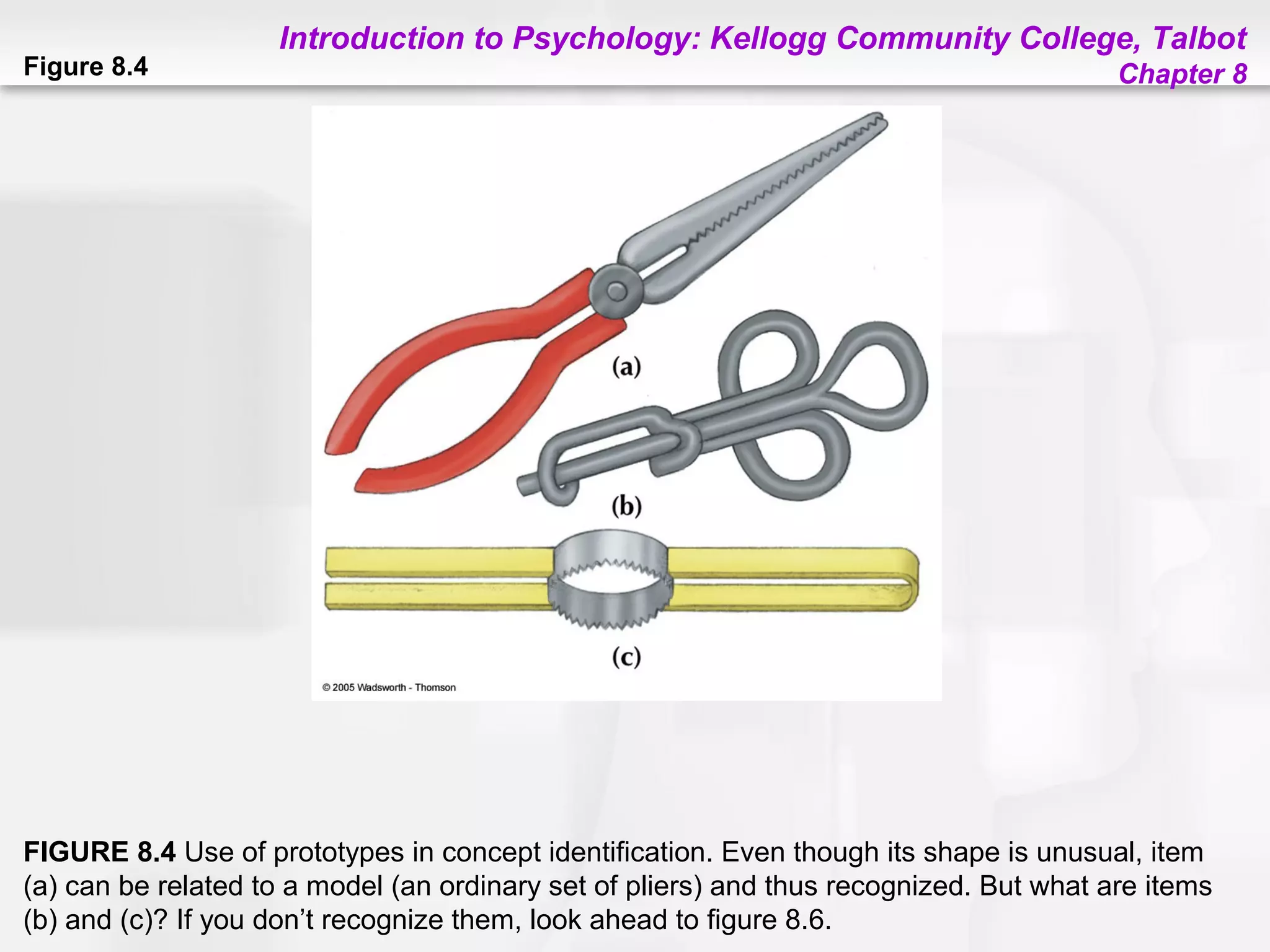 Introduction to Psychology: Kellogg Community College, Talbot
Chapter 8Figure 8.4
FIGURE 8.4 Use of prototypes in concept identification. Even though its shape is unusual, item
(a) can be related to a model (an ordinary set of pliers) and thus recognized. But what are items
(b) and (c)? If you don’t recognize them, look ahead to figure 8.6.
 