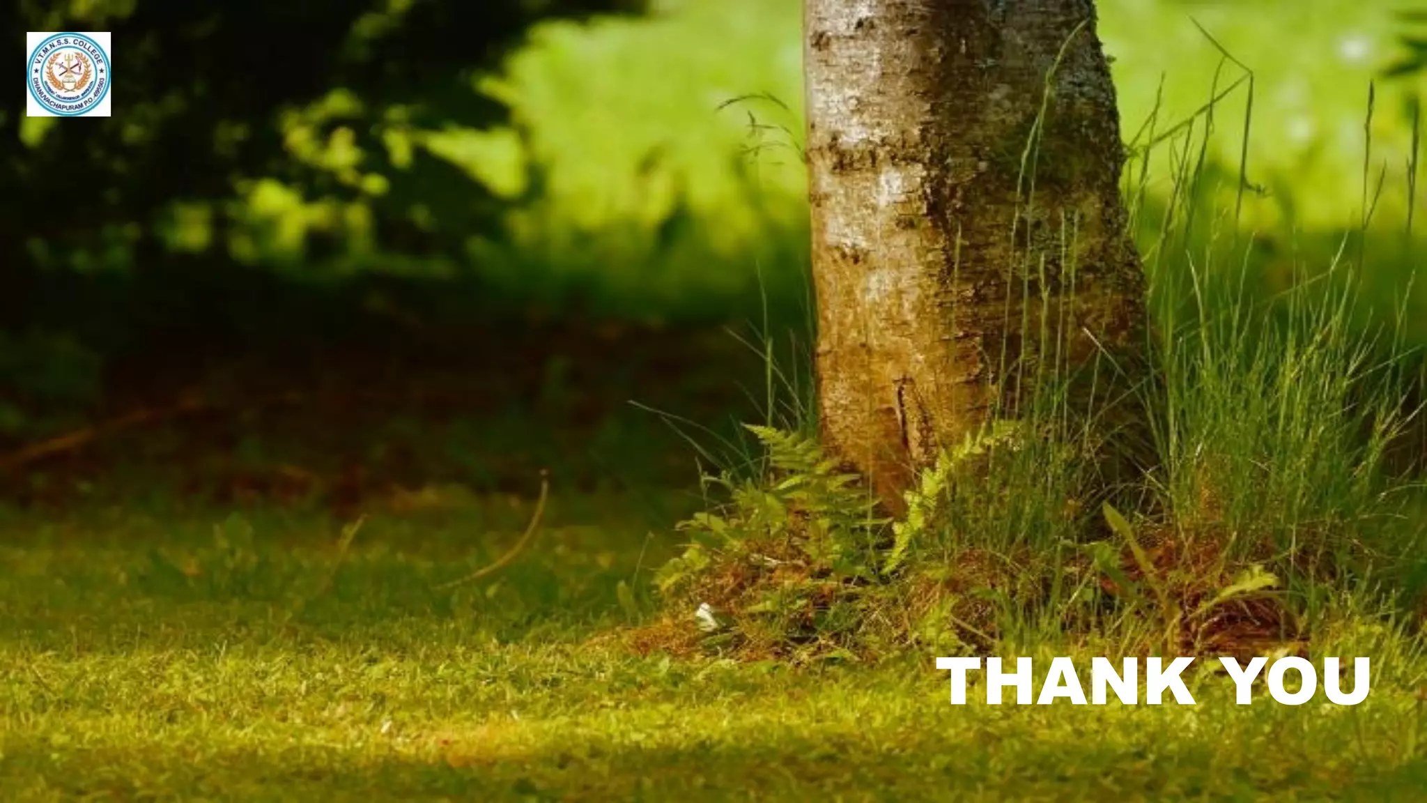 Introduction to pteridology | PDF | Gardening | Home & Garden