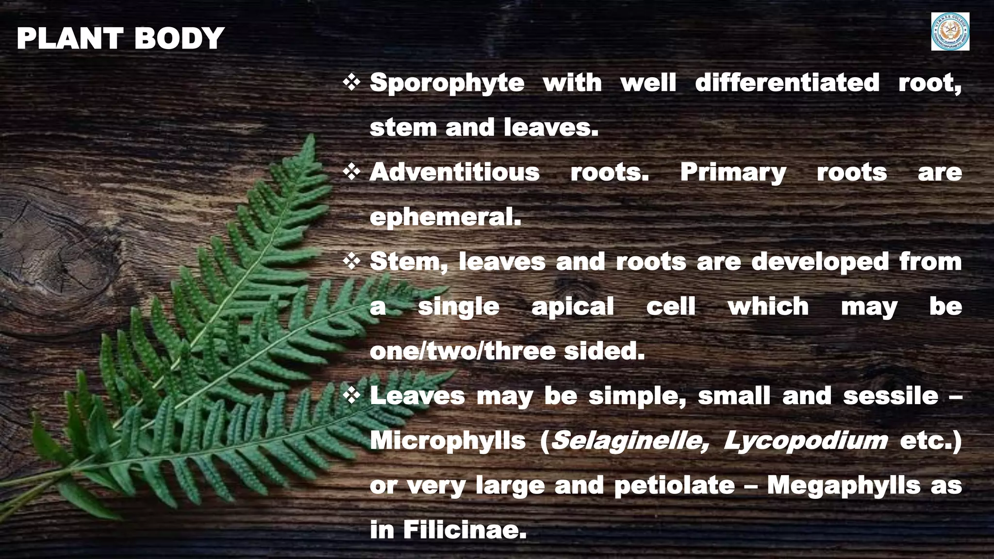 Introduction to pteridology | PDF