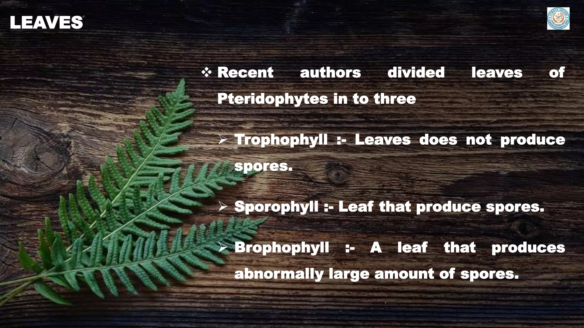 Introduction to pteridology | PDF