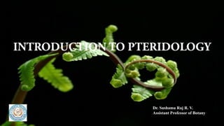 Introduction to pteridology | PDF | Gardening | Home & Garden