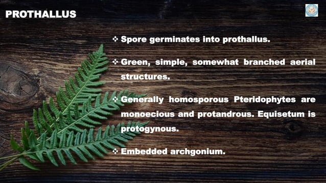 Introduction to pteridology | PDF | Gardening | Home & Garden