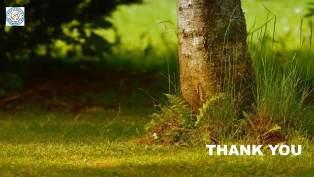 Introduction to pteridology | PDF | Gardening | Home & Garden