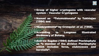 Introduction to pteridology | PDF