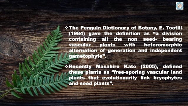 Introduction to pteridology | PDF | Gardening | Home & Garden