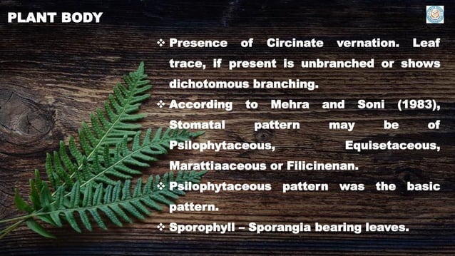 Introduction to pteridology | PPT