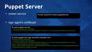 Puppet Server
●
restart service
●
sign agent’s certificate
$ sudo systemctl restart puppetserver
$ sudo puppet cert list
"server01.example.com" (SHA256)
F7:72:52:87:AE:81:19:70:49:04:BF:2D:B0:D6:F5:B9:11:F7:77:76:C3:32:A8:F0:9B:88:B5:54:13:7A:EF:C
$ sudo puppet cert sign server01.example.com
Signing Certificate Request for:
"server01.example.com" (SHA256)
F7:72:52:87:AE:81:19:70:49:04:BF:2D:B0:D6:F5:B9:11:F7:77:76:C3:32:A8:F0:9B:88:B5:54:13:7A:EF:C
Notice: Signed certificate request for server01.example.com
Notice: Removing file Puppet::SSL::CertificateRequest server01.example.com at '/etc/puppetlabs/puppet/ssl/
ca/requests/server01.example.com.pem’
 