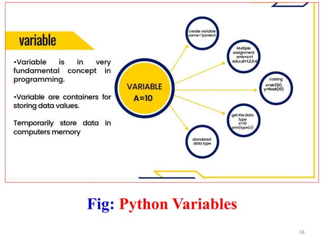 Introduction to Python 01-08-2023.pon by everyone else. . Hence, they ...