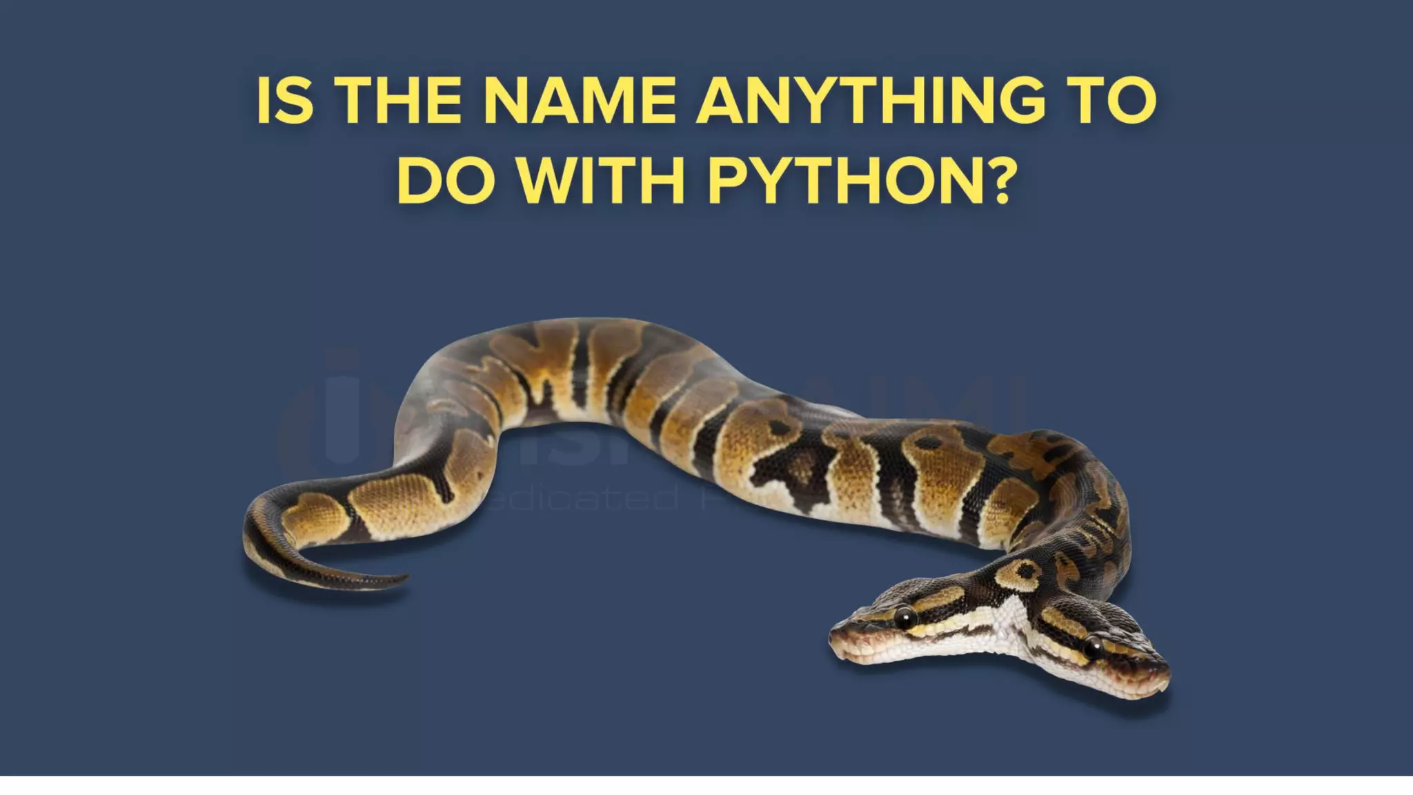Introduction to Python Programming | PPT