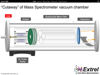 Introduction tzxxxzxzo Quadrupole MS.ppt