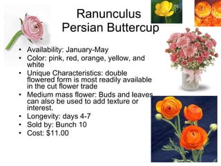Ranunculus  Persian Buttercup Availability: January-May Color: pink, red, orange, yellow, and white Unique Characteristics: double flowered form is most readily available in the cut flower trade Medium mass flower: Buds and leaves can also be used to add texture or interest. Longevity: days 4-7 Sold by: Bunch 10 Cost: $11.00 