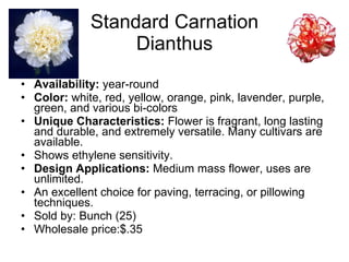 Standard Carnation Dianthus Availability:  year-round Color:  white, red, yellow, orange, pink, lavender, purple, green, and various bi-colors Unique Characteristics:  Flower is fragrant, long lasting and durable, and extremely versatile. Many cultivars are available.  Shows ethylene sensitivity. Design Applications:  Medium mass flower, uses are unlimited. An excellent choice for paving, terracing, or pillowing techniques. Sold by: Bunch (25) Wholesale price:$.35 